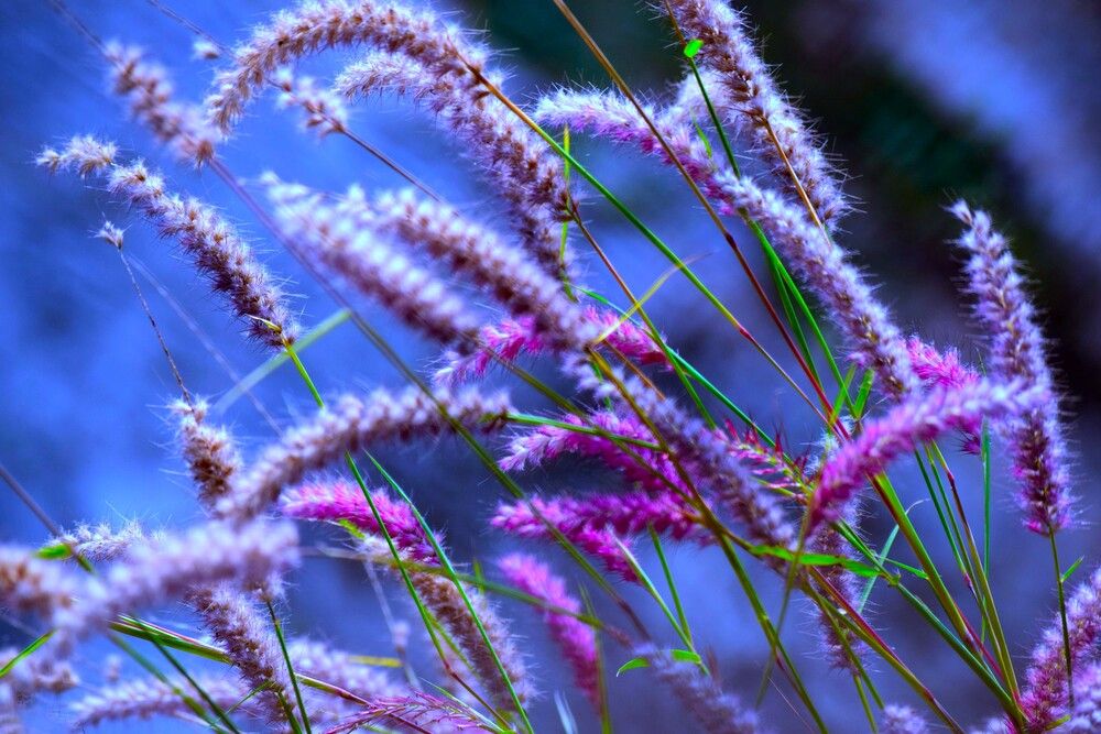 Photograph by shashiranjan prakash