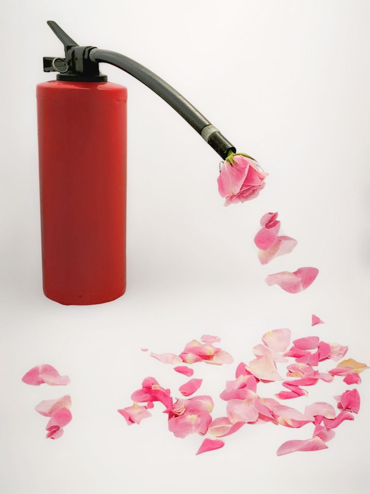 Photograph by Елена