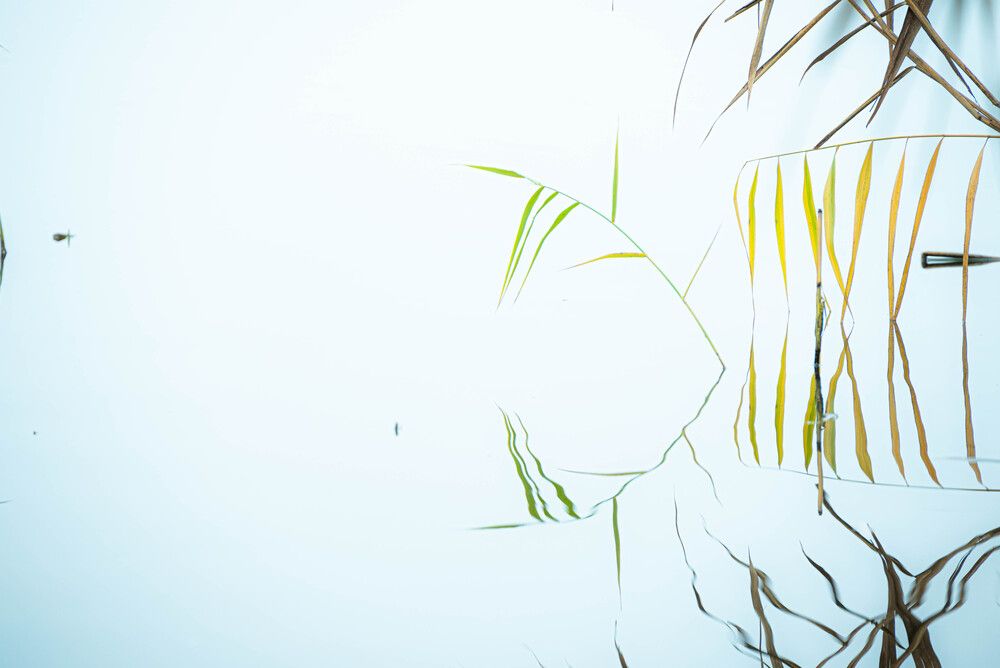 Photograph by Ирина Сергиевская