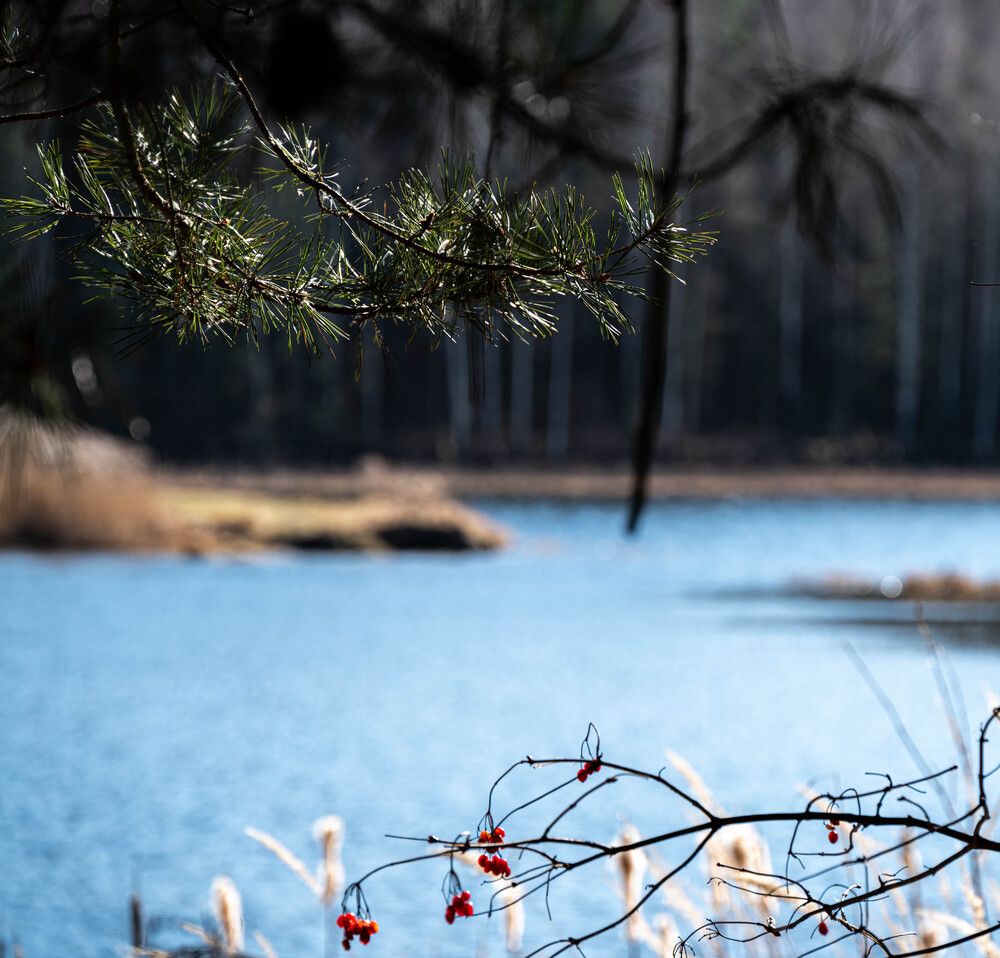 Photograph by Ирина Сергиевская