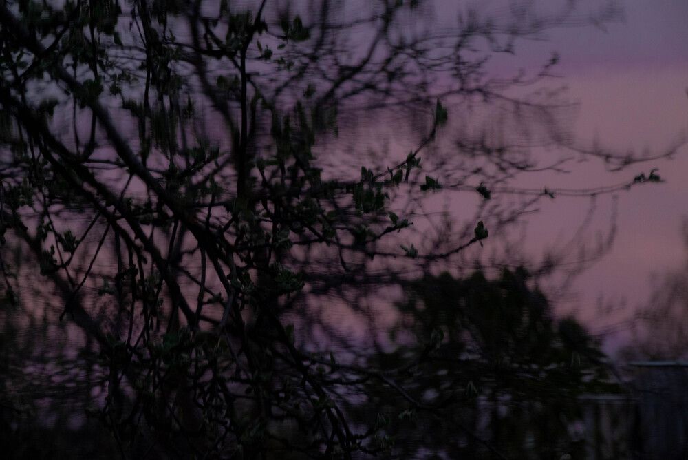 Photograph by Ирина Сергиевская