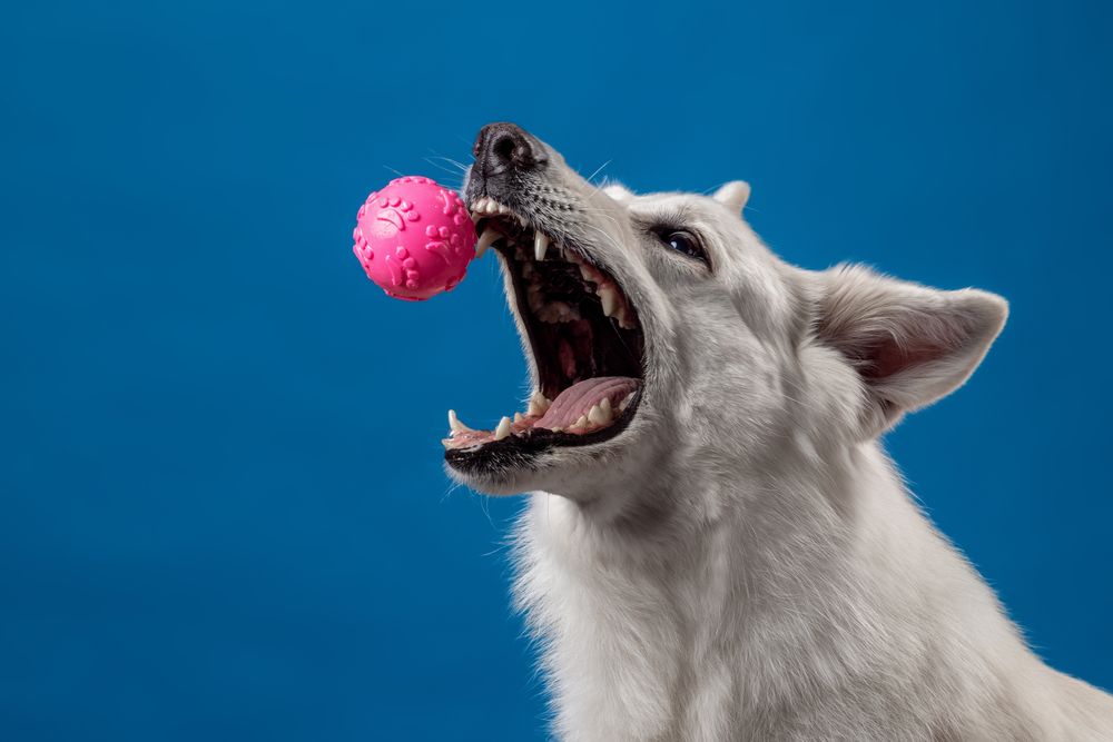 Photograph by Алина Дудорова