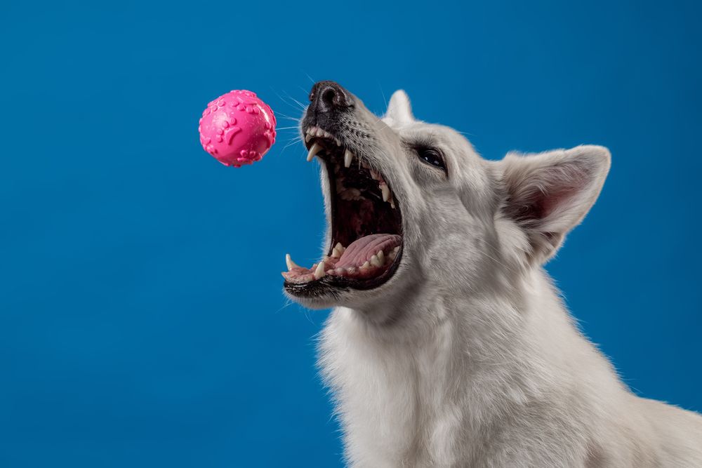 Photograph by Алина Дудорова