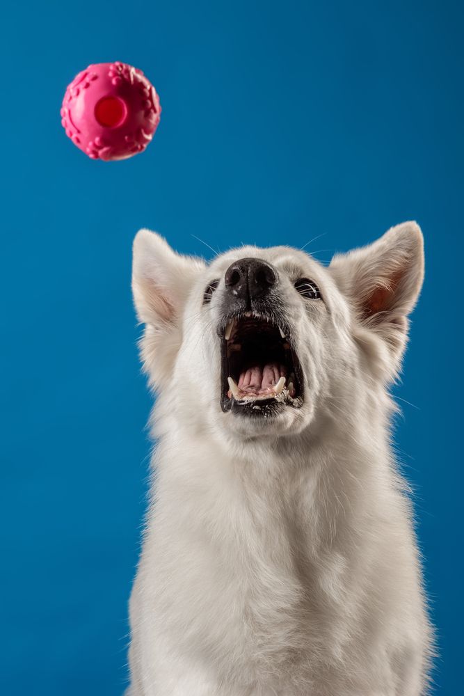 Photograph by Алина Дудорова