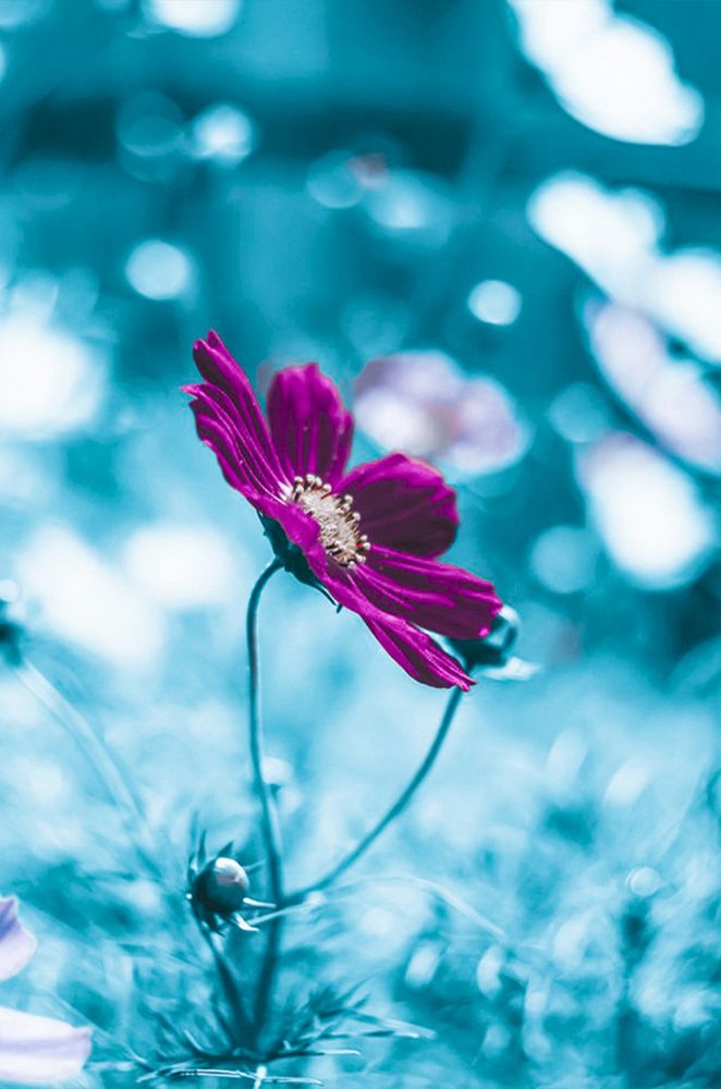 Photograph by Любовь Бусова