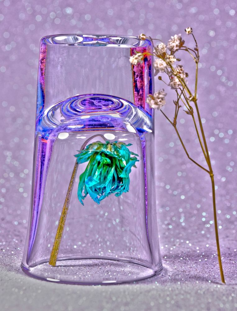 Photograph by Любовь Бусова