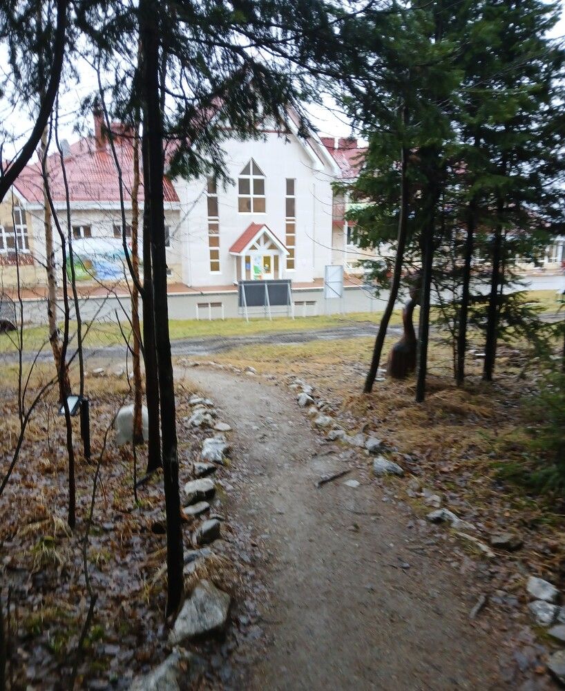 Прогулка на Белой горе