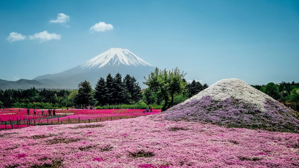 Photograph by Uesan Aliace