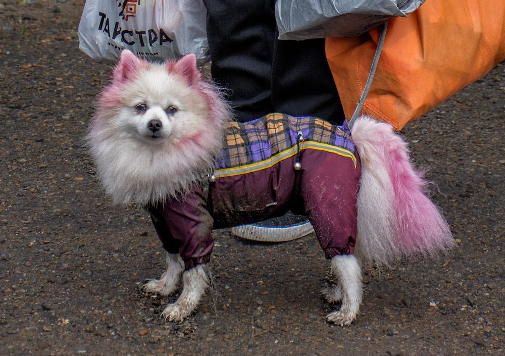 Photograph by Тетельман Давид