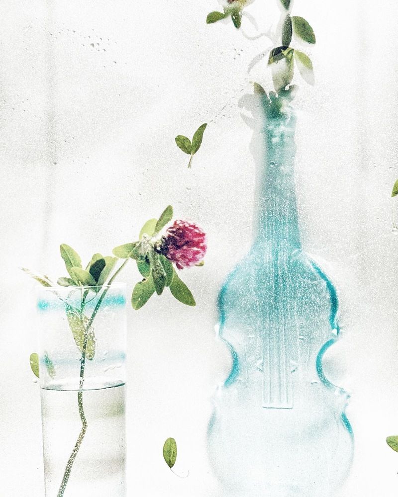 Photograph by Татьяна