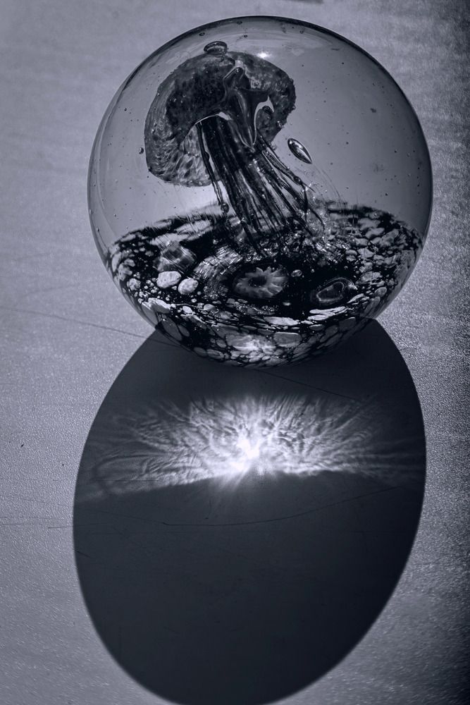 Photograph by Виктор Саврей