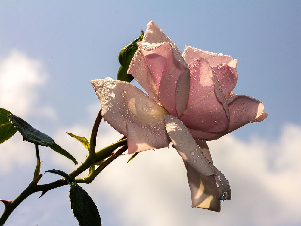 Фотография автора Борис Журавлёв