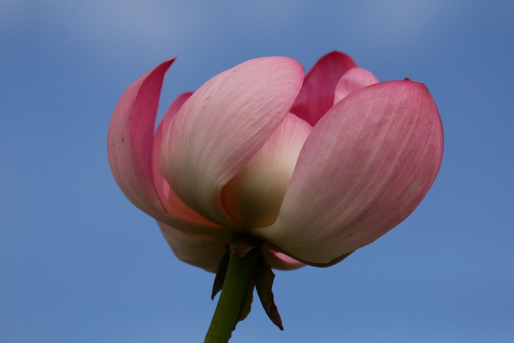 Фотография автора Сергей Кульков