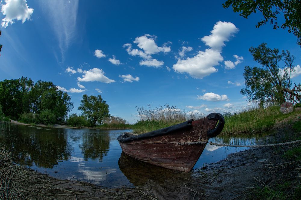 Фотография автора Александр