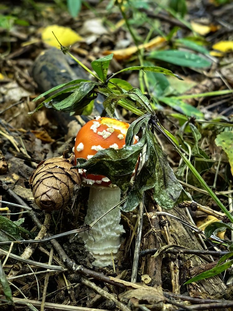Photograph by Юлия Горелова