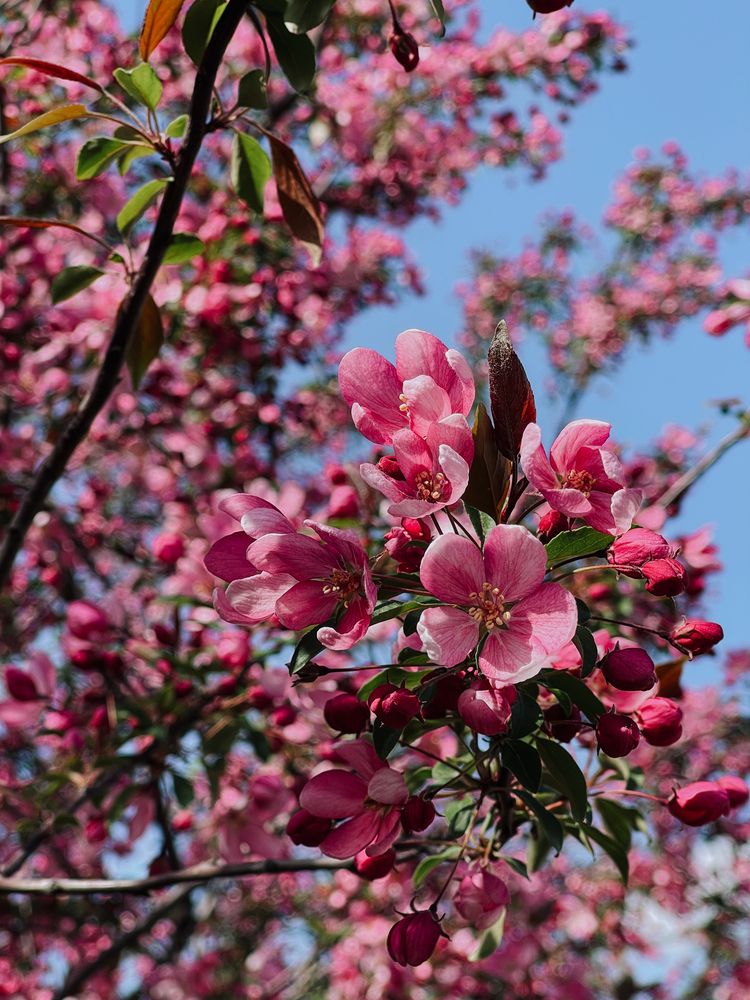 Photograph by Олена Уманцева