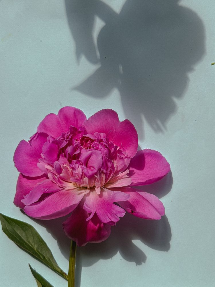 Photograph by Олена Уманцева