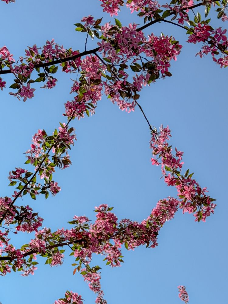 Photograph by Олена Уманцева