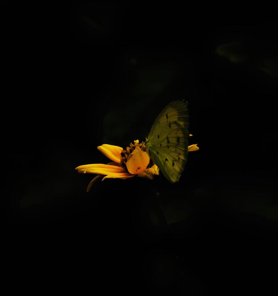 Photograph by Naivedya Mittal