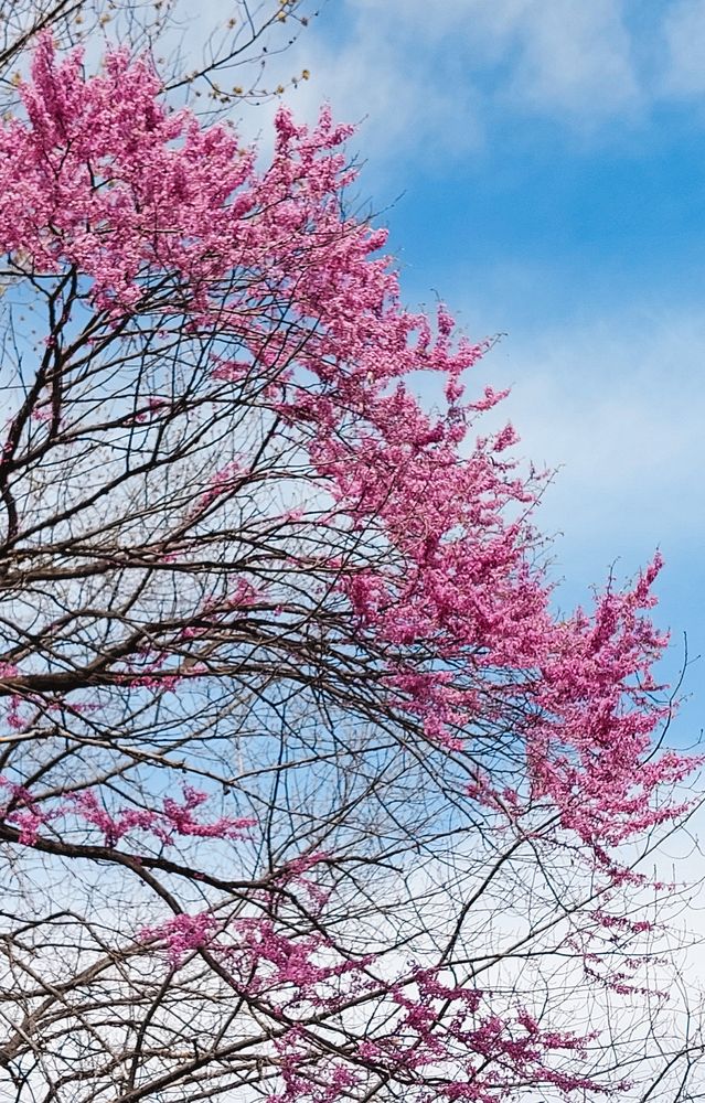 Photograph by Анна Чичилова