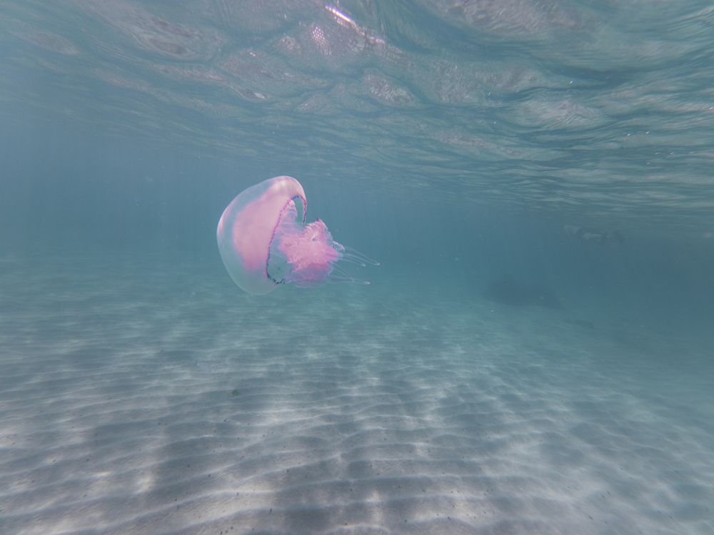 Photograph by Артём Гуцалюк