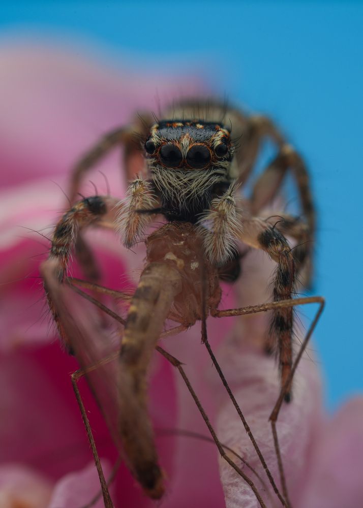 Photograph by Юрий Юрьевич Подгрушный