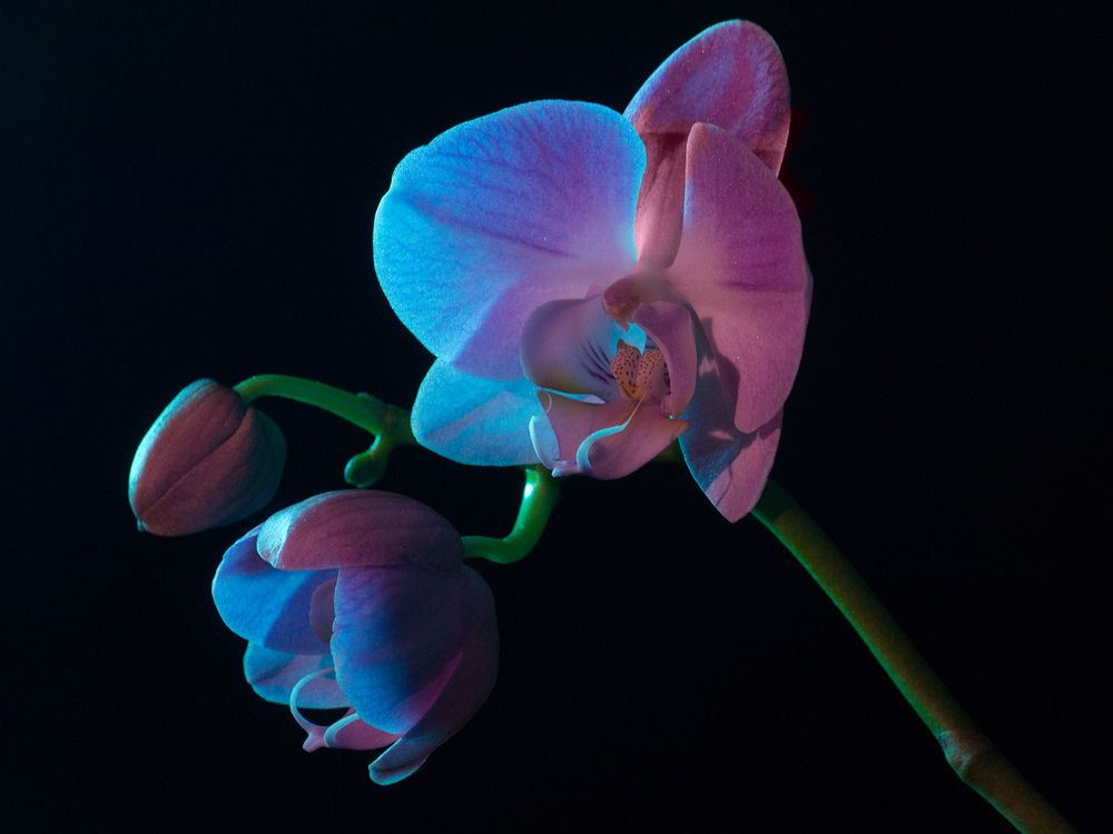 Фотография автора Борис Журавлёв