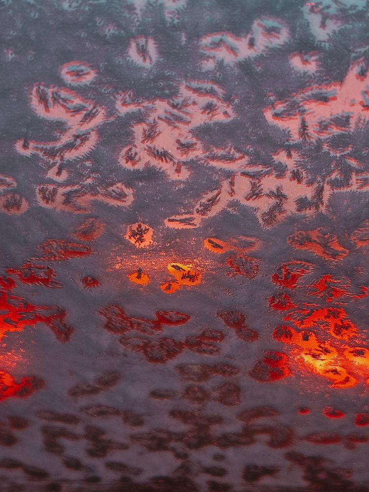 Photograph by Кристина Альшанская