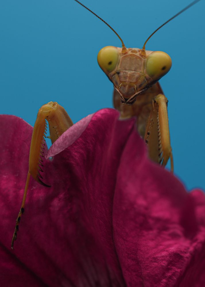 Photograph by Юрий Юрьевич Подгрушный