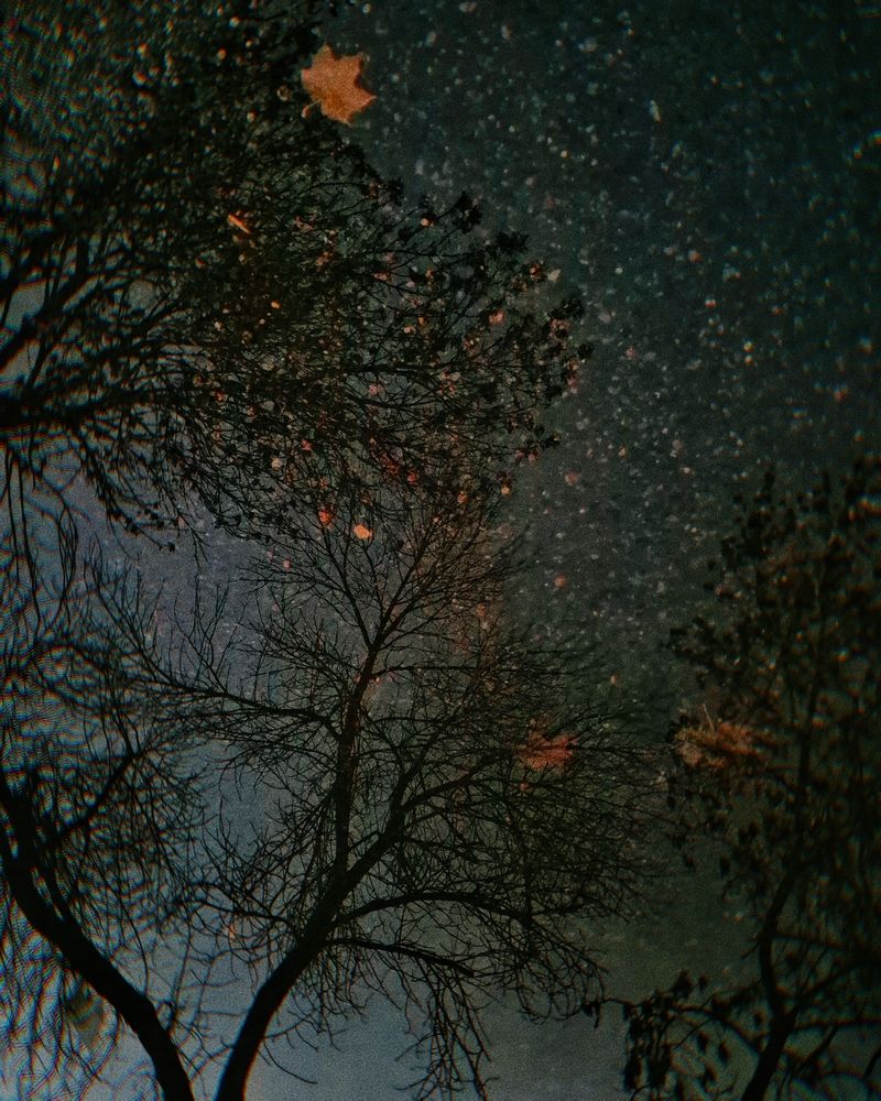 Photograph by Александра Якушевич