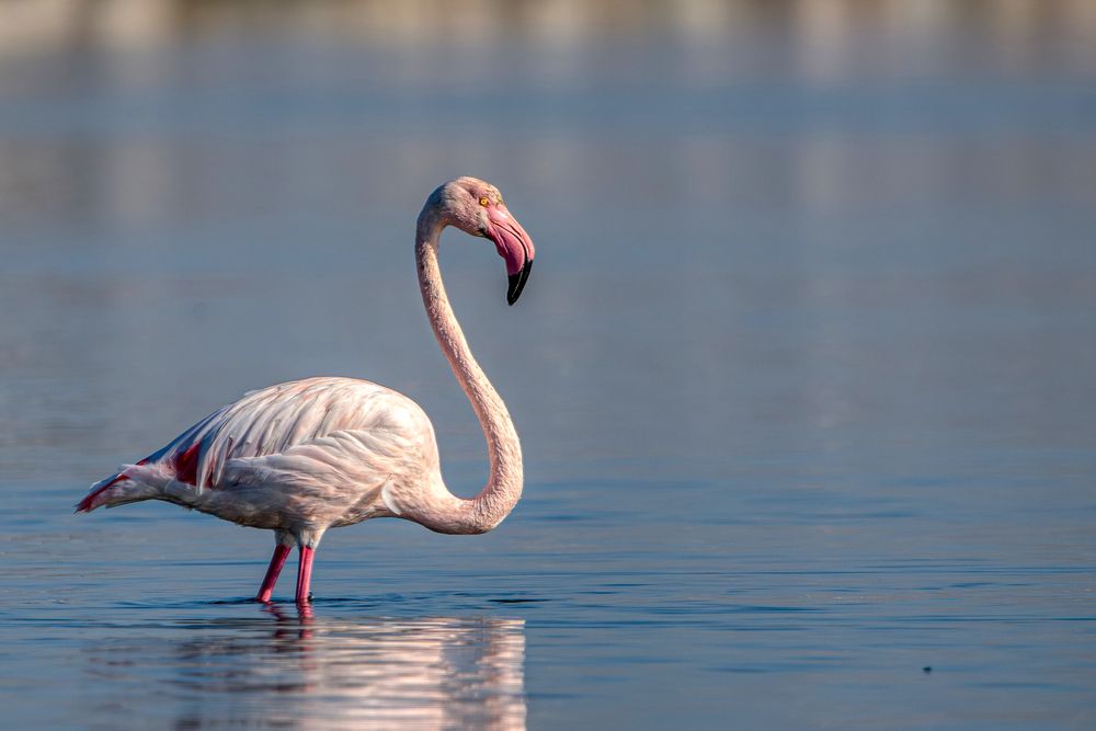 Photograph by Vasileios Karapanagiotidis