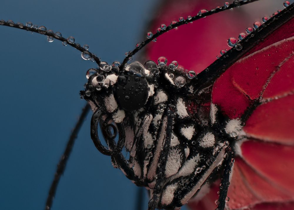 Photograph by Юрий Юрьевич Подгрушный