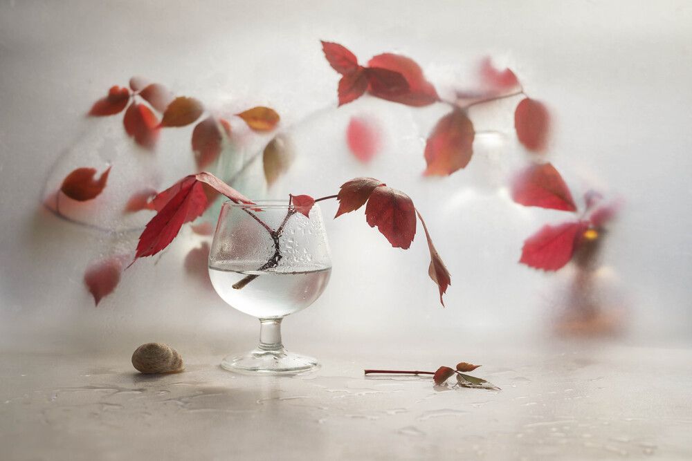 Photograph by Солодар Виктория