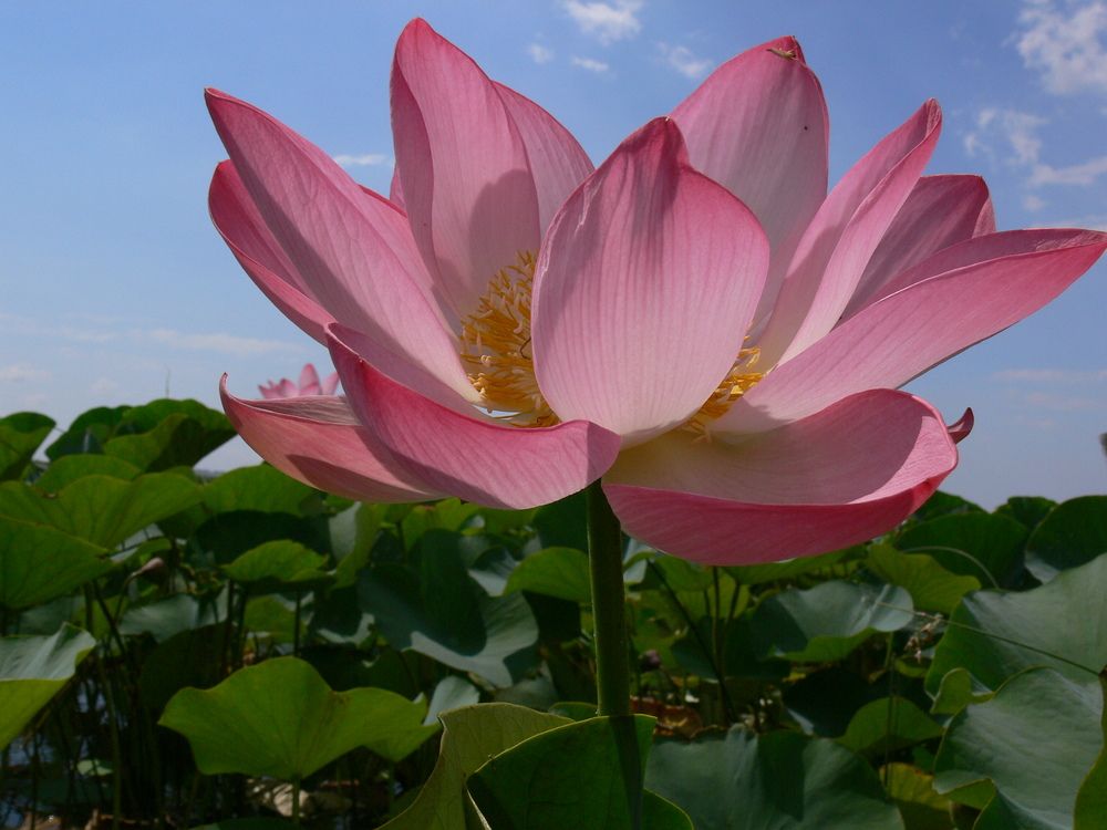 Фотография автора Сергей Кульков