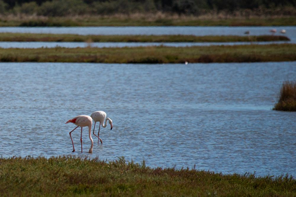 Photograph by Natalja Tšikova