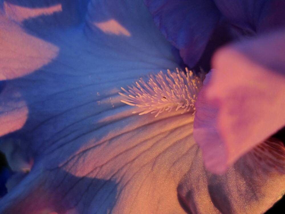 Photograph by Viktoriia Rusanova