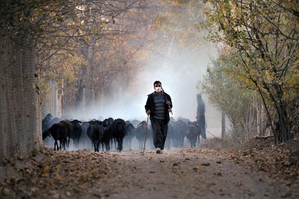 Photograph by Farid Ataei