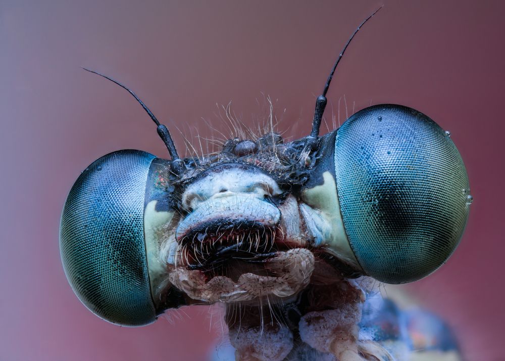 Photograph by Юрий Юрьевич Подгрушный