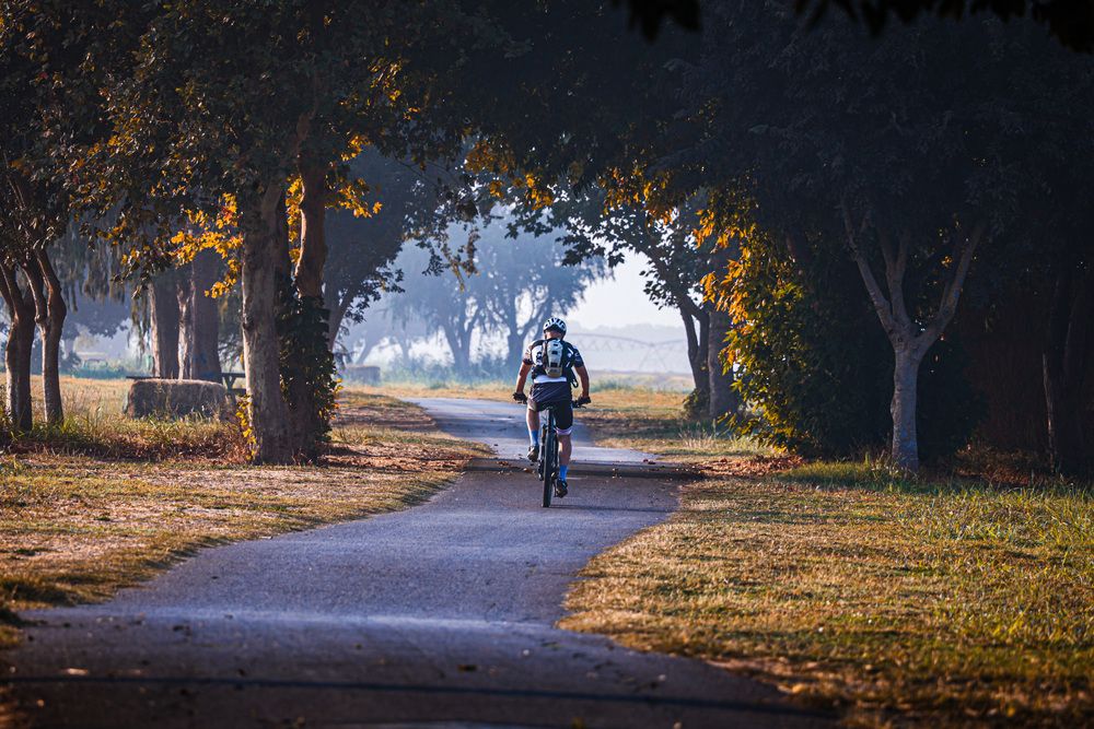 Photograph by Дмитрий Куркулин