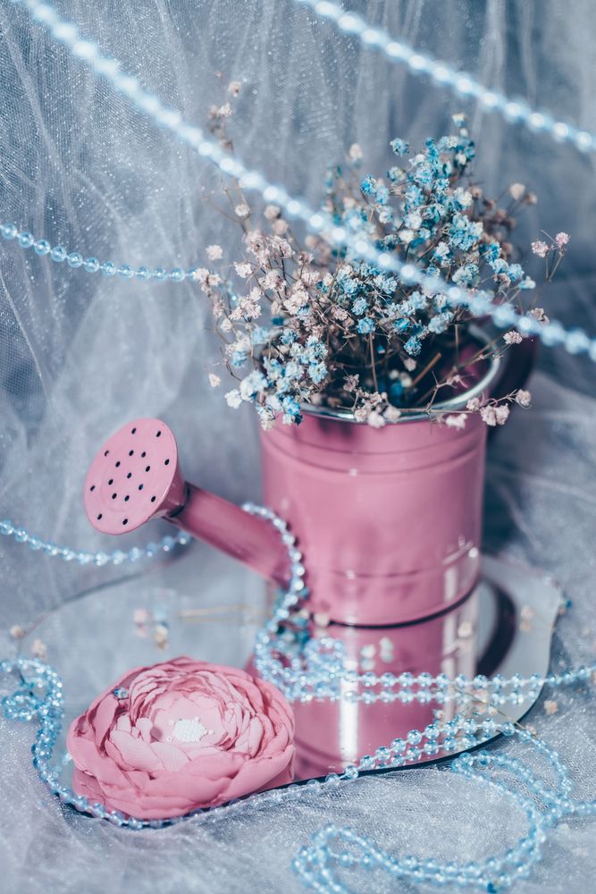 Photograph by Галина Ноздрина