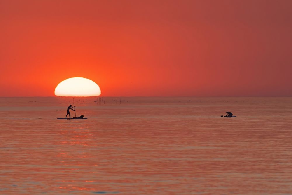 Photograph by Михаил Косолапов