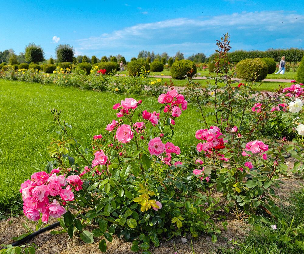 Photograph by Александр Дмитриев