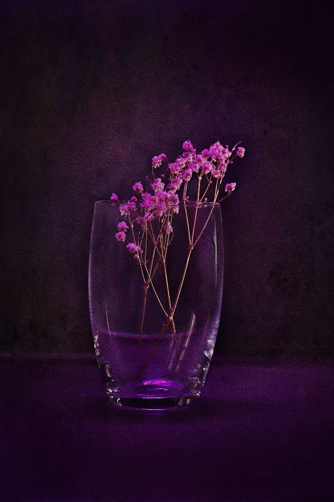Photograph by Екатерина Самошкина
