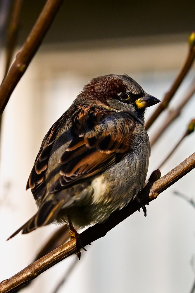 Photograph by Olga Parkhimovich