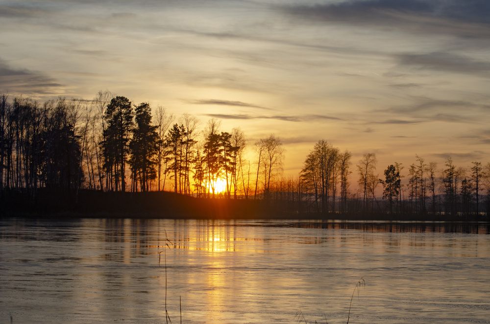 Photograph by Светлана Кудянова