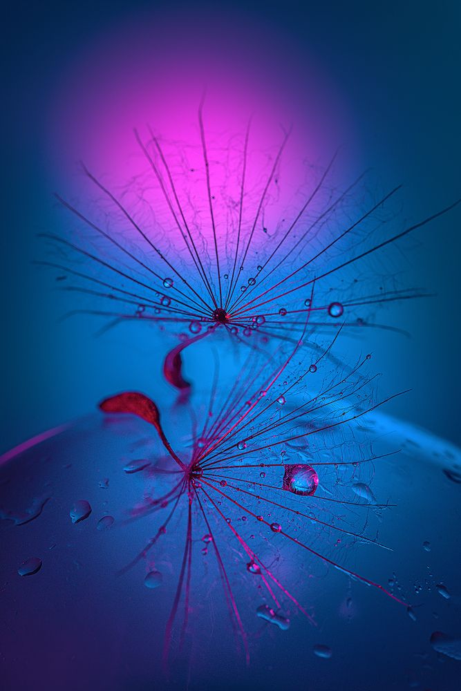 Photograph by Ольга Яр