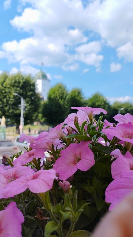 Photograph by Наталья Романова