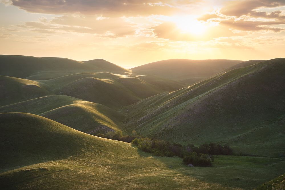 Photograph by Арсений Кашкаров