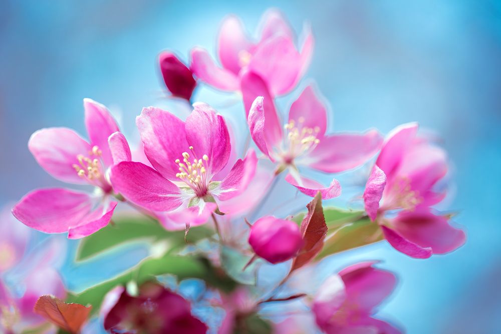 Photograph by Матюхина Наталья