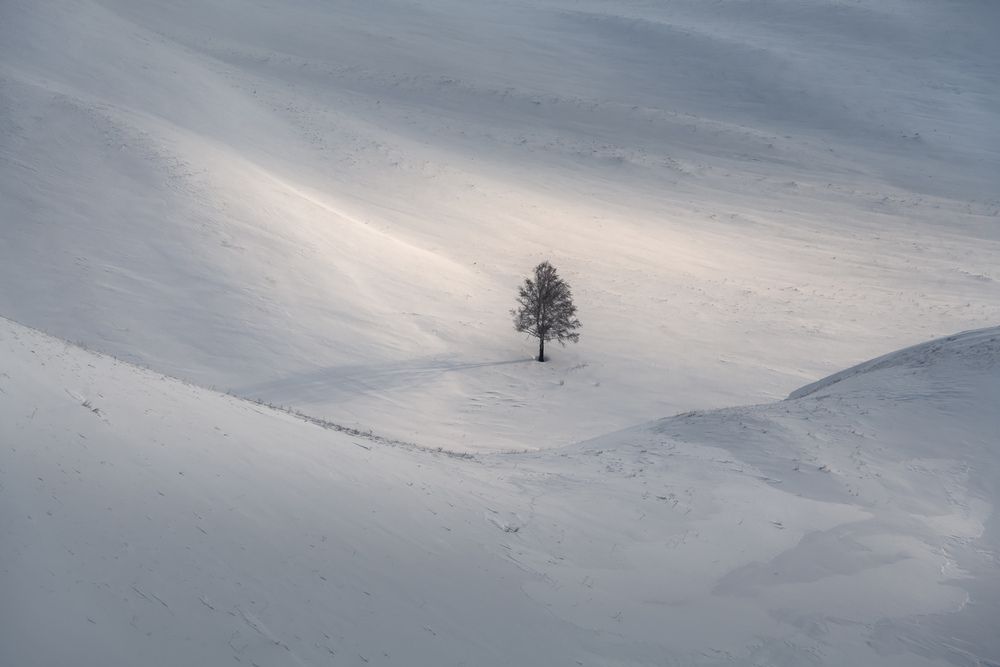 Photograph by Арсений Кашкаров